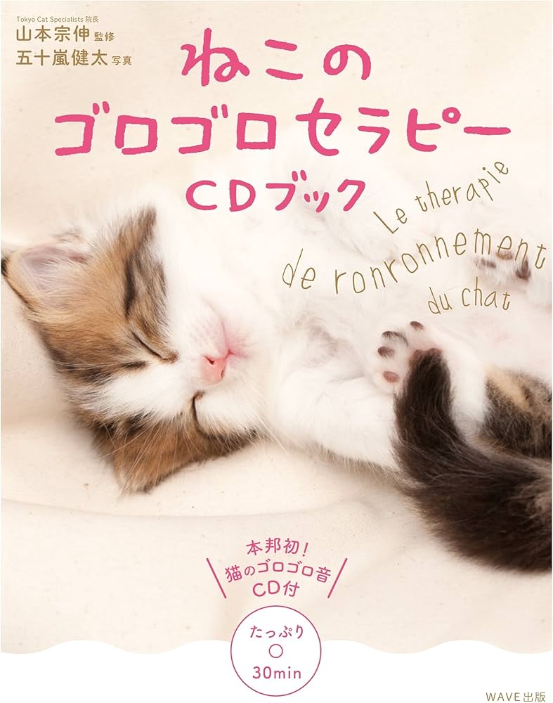 81Urmx+3ozL._AC_UF1000,